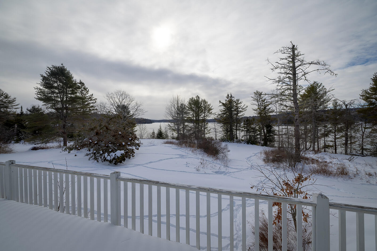 115 Gross Point Road Orland, ME 04472 - Photo 97 of 102 51-115 Gross Point Road-DTP_websize