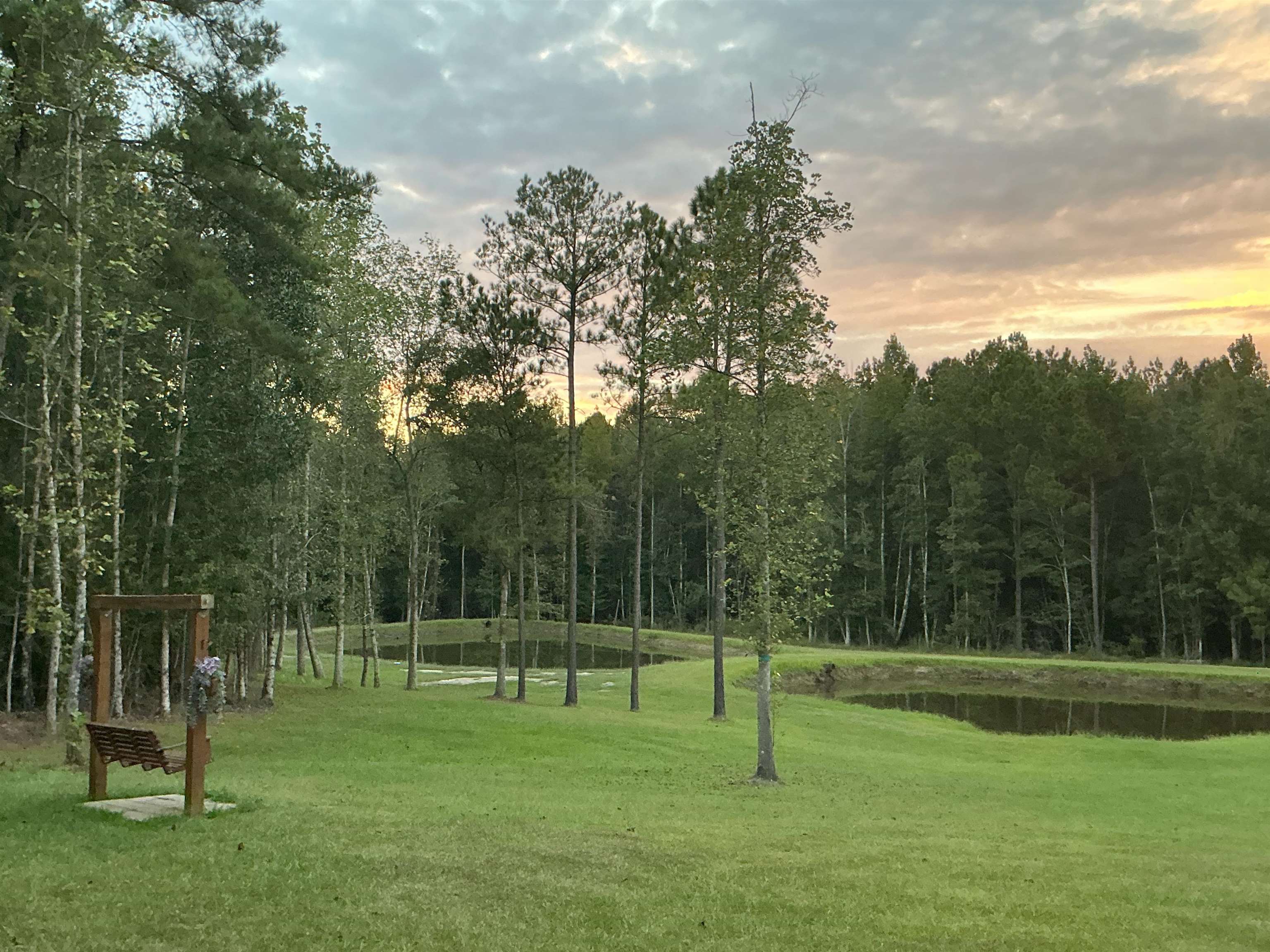 31769 Boston Road Dozier, AL 36028 - Photo 4 of 48 Gallery Image 4