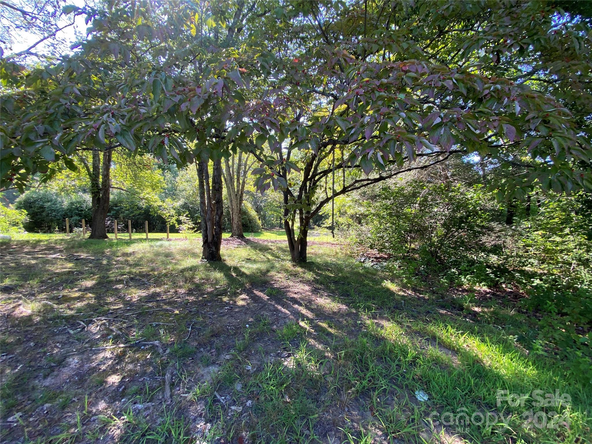 3140 Rutherford College Road Valdese, NC 28690 - Photo 6 of 40 a view of outdoor space with trees