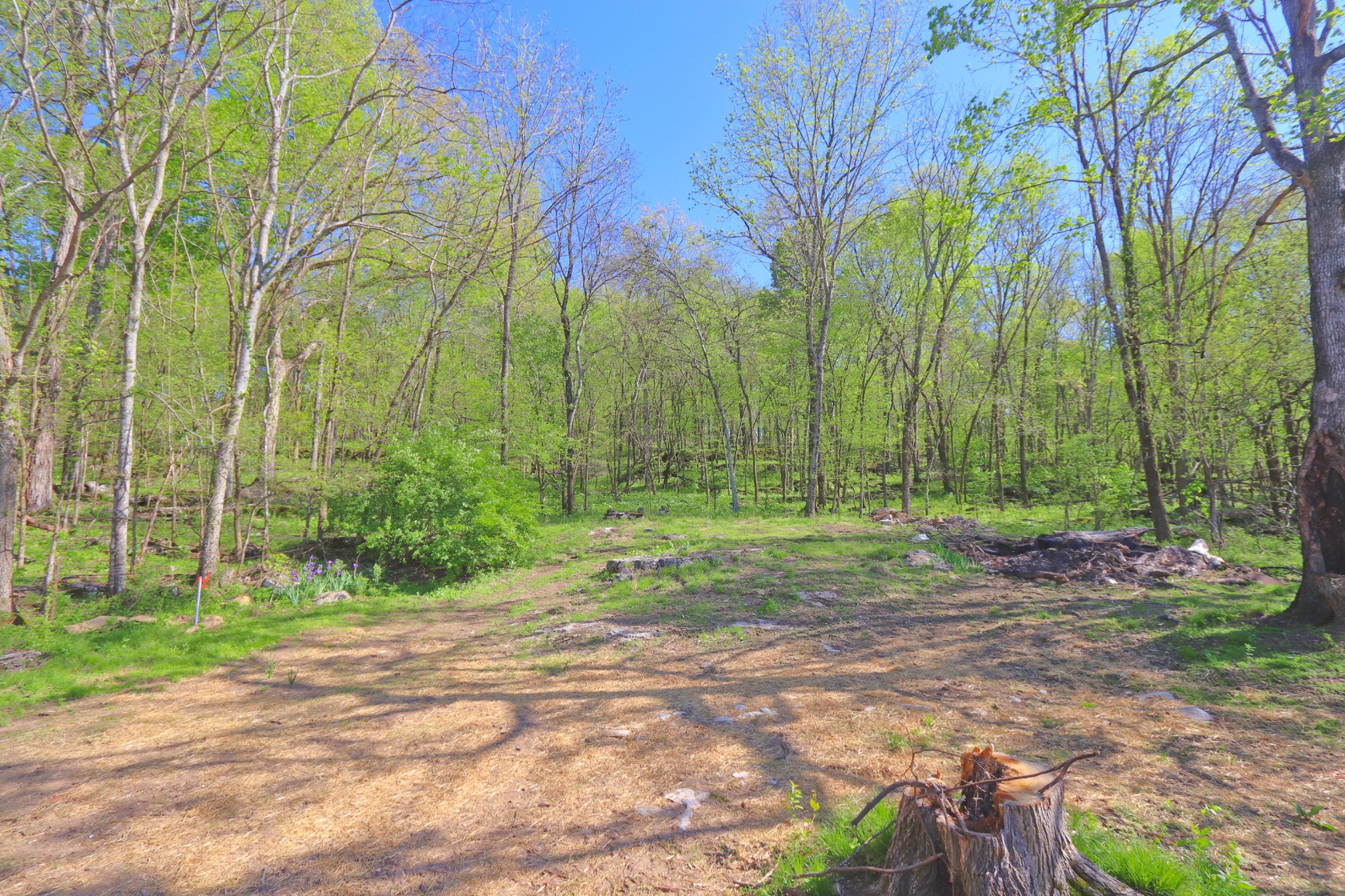 331 Whitefield Lane Carthage, TN 37030 - Photo 17 of 19