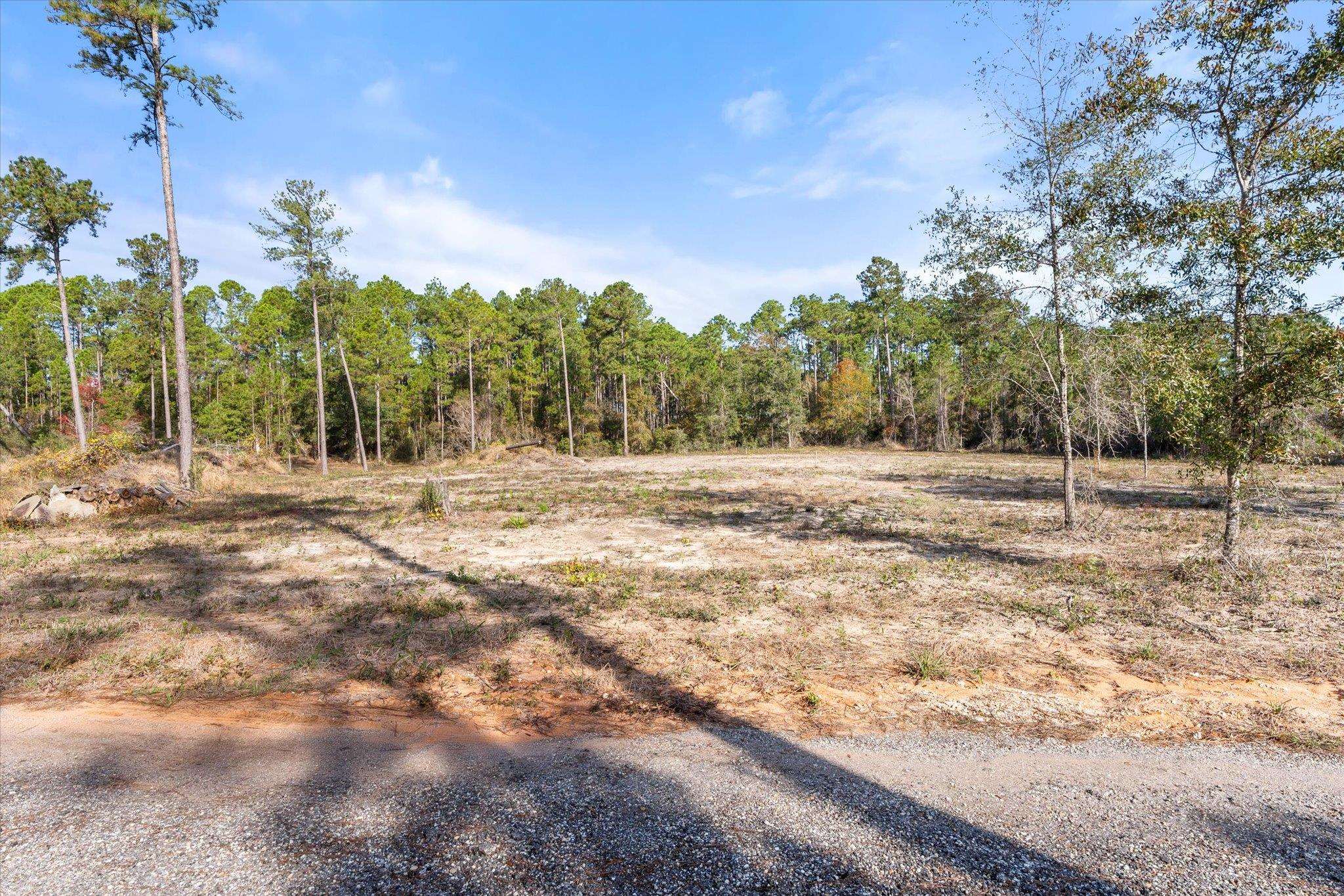 29883 Kingdom Lane Elberta, AL 36530 - Photo 2 of 17 View