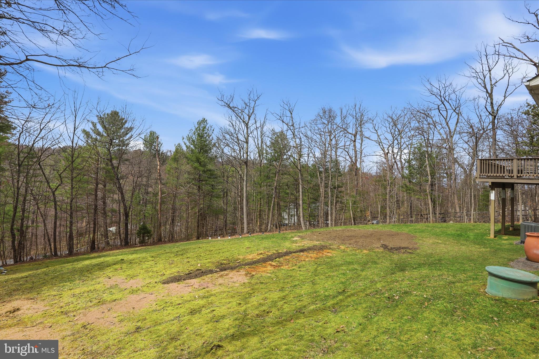 1158 Drummer Hill Road Front Royal, VA 22630 - Photo 32 of 36 a backyard of a house with lots of green space and trees