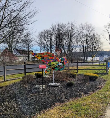 a view of a park with large trees