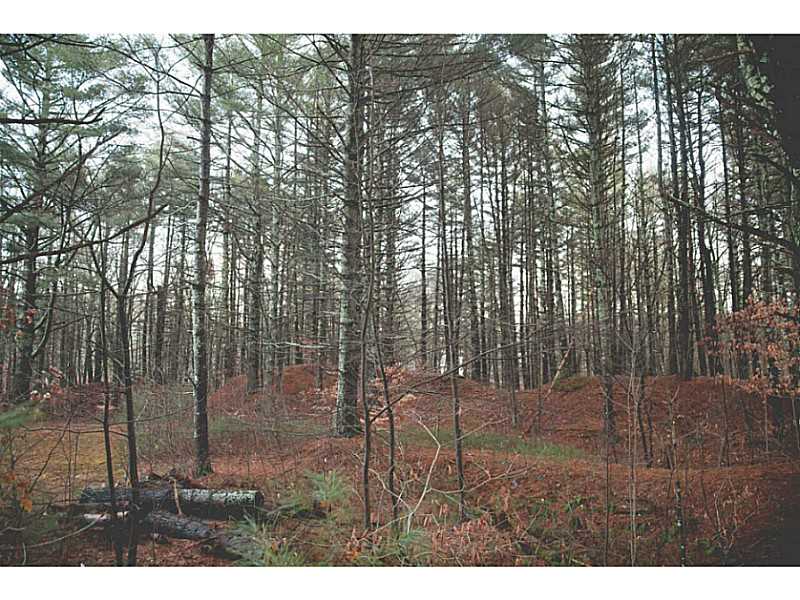 42 Anthony Road Foster, RI 02825 - Photo 5 of 25 Exterior Front. Lots of trails in the tall pines to explore.