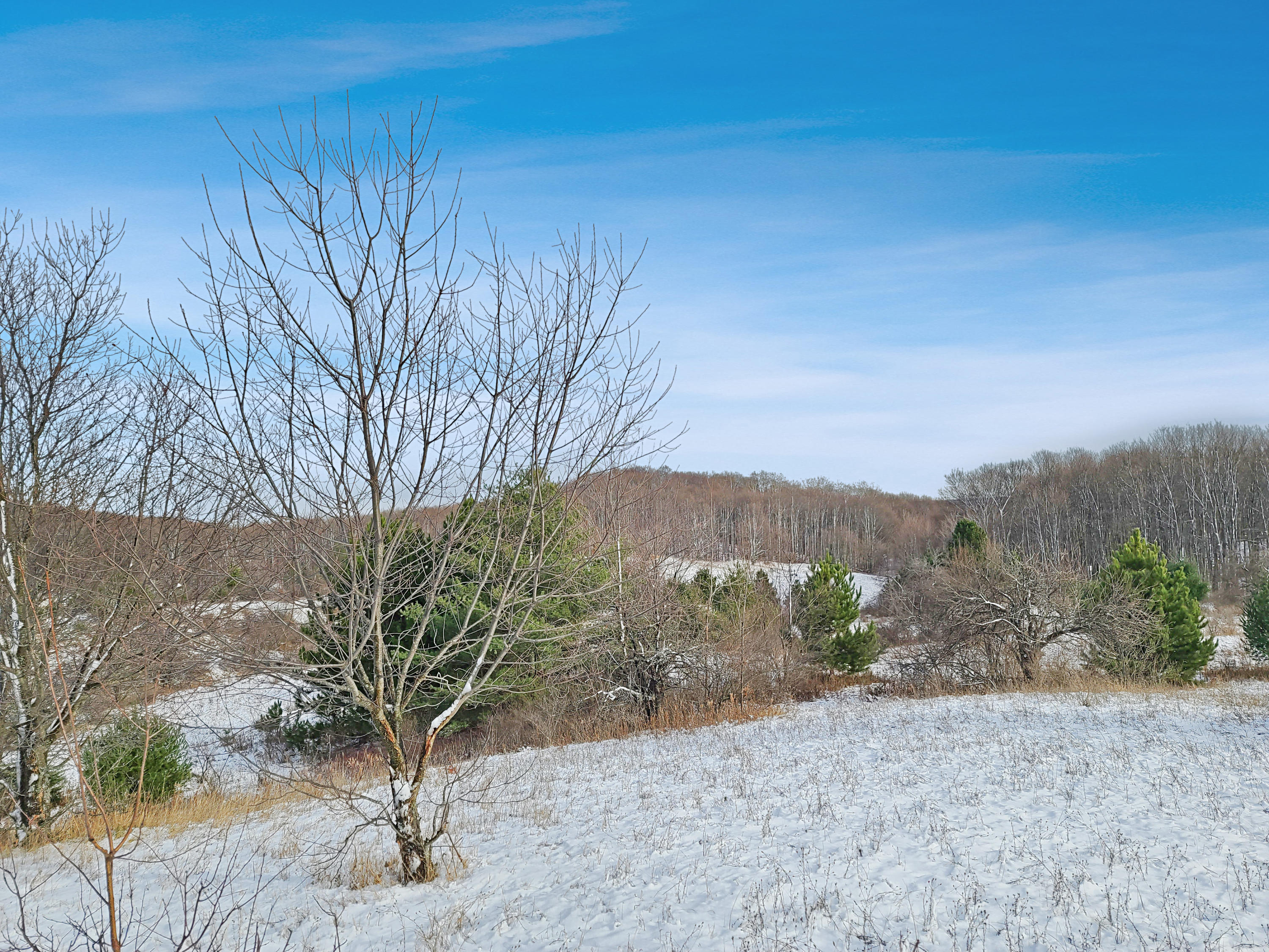 Poquette Road Gaylord, MI 49735 - Photo 11 of 14 Gallery Image 11