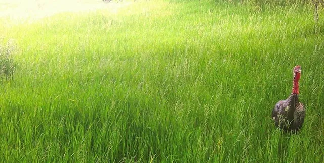 $150,000 | 0 325th Road, White Cloud, KS 66094