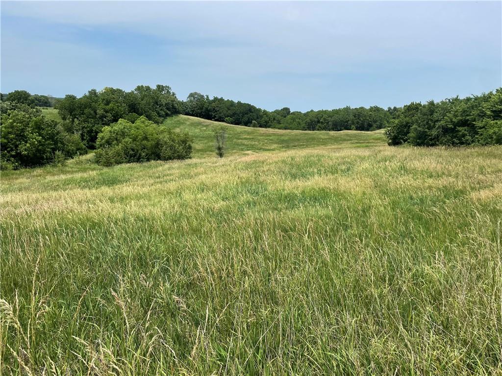 0 325th Road White Cloud, KS 66094 - Photo 3 of 4