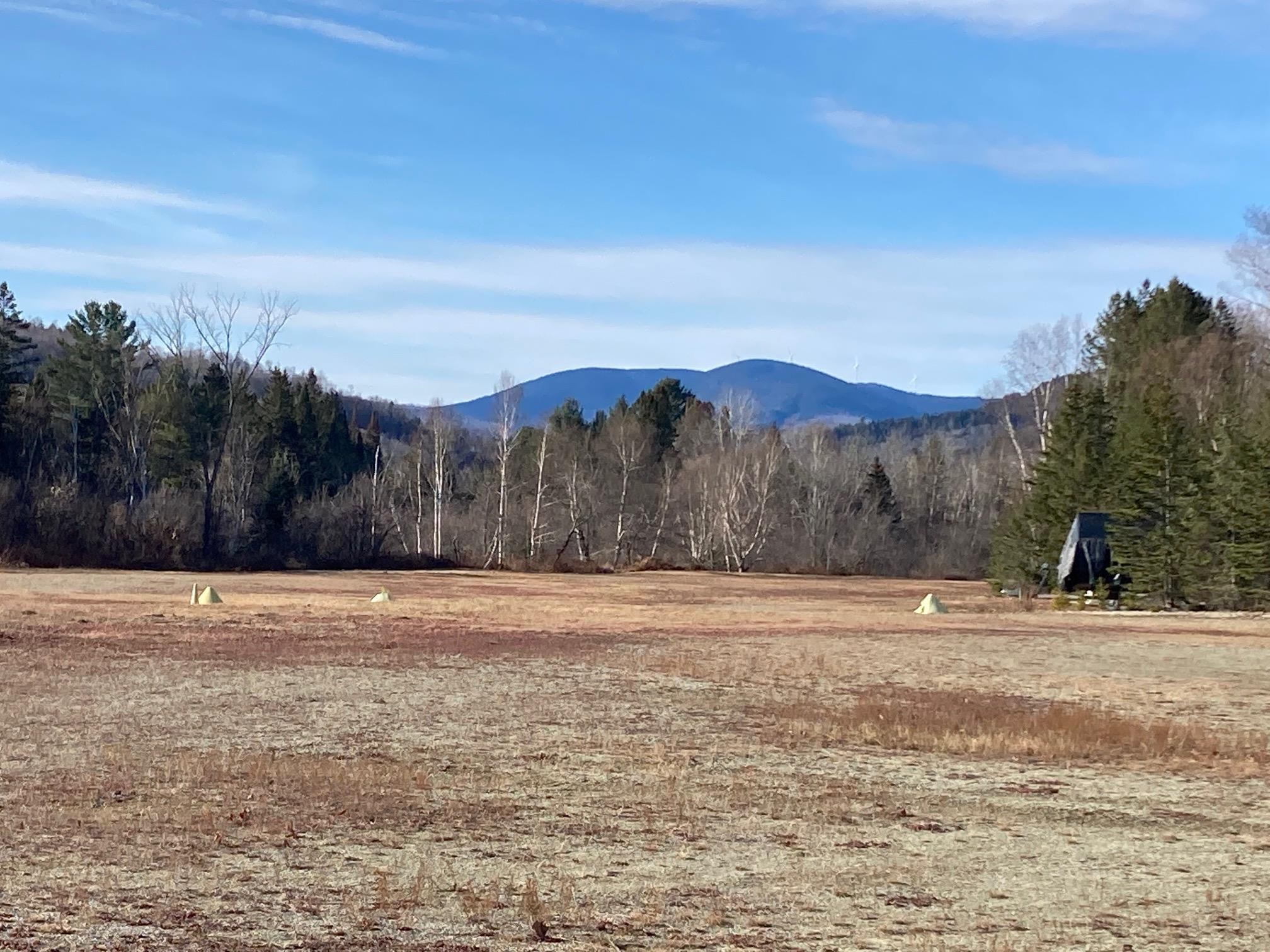 801 Colebrook Road Errol, NH 03579 - Photo 12 of 19