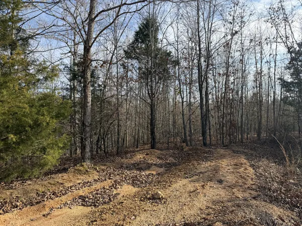 a view of wooden fence