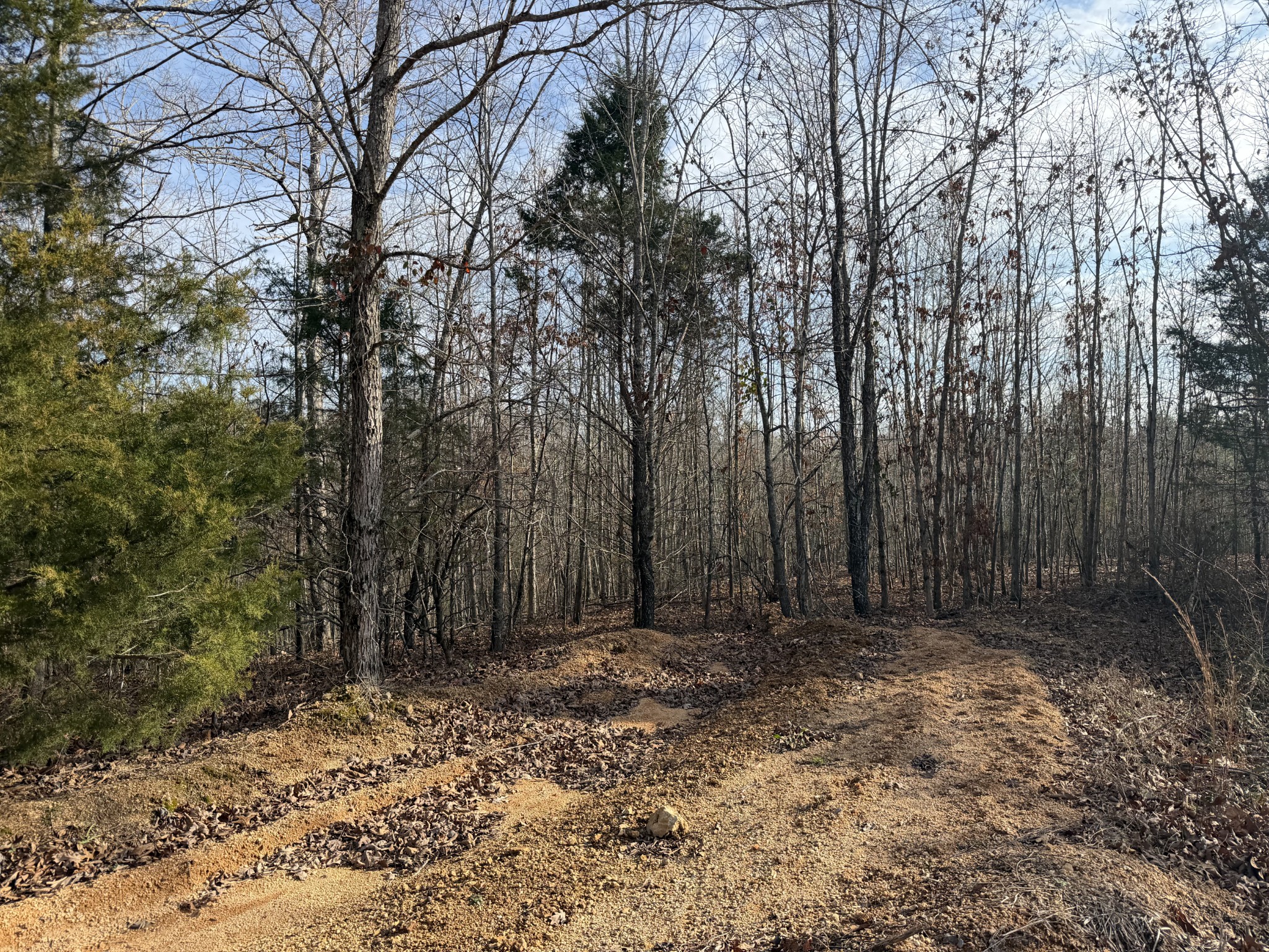 0 Highway 50 W Loop West Centerville, TN 37033 - Photo 2 of 7 a view of wooden fence