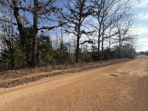 a view of a yard with trees