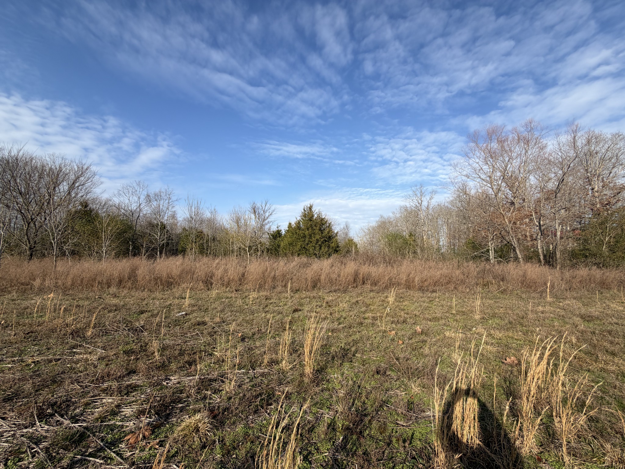 0 Highway 50 W Loop West Centerville, TN 37033 - Photo 6 of 7 a view of lake with green space