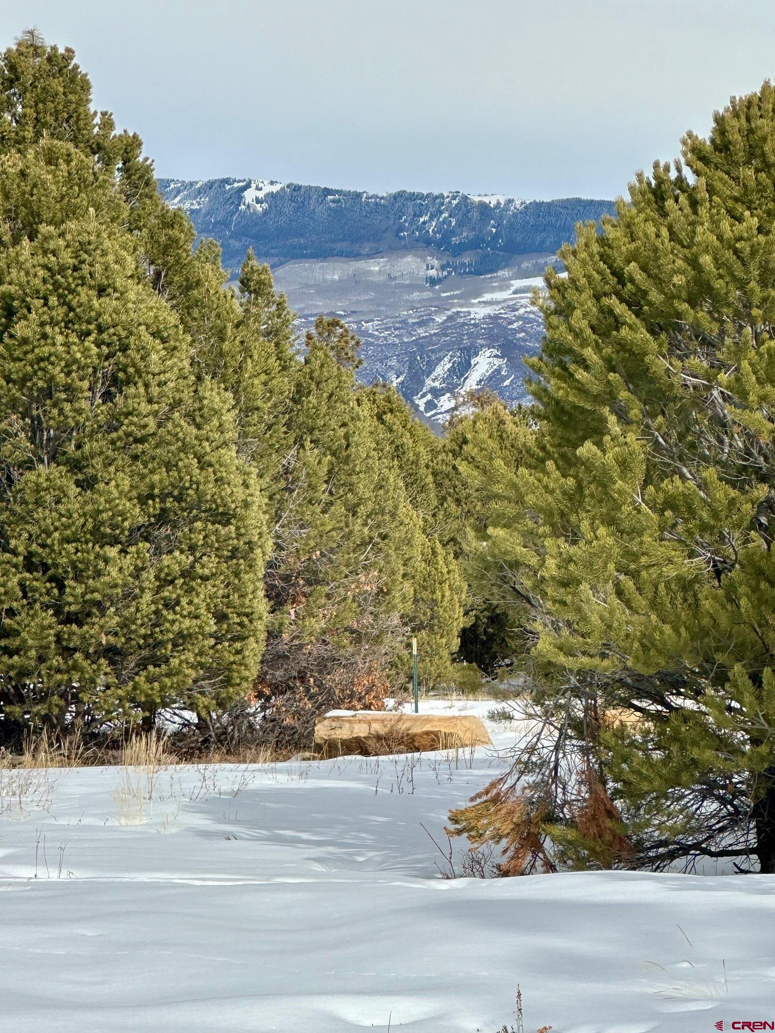 Tbd North Badger Trail Ridgway, CO 81432 - Photo 4 of 13 a view of a yard from a balcony