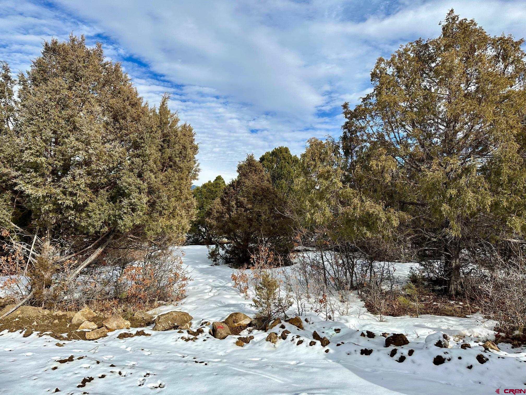 Tbd North Badger Trail Ridgway, CO 81432 - Photo 7 of 13