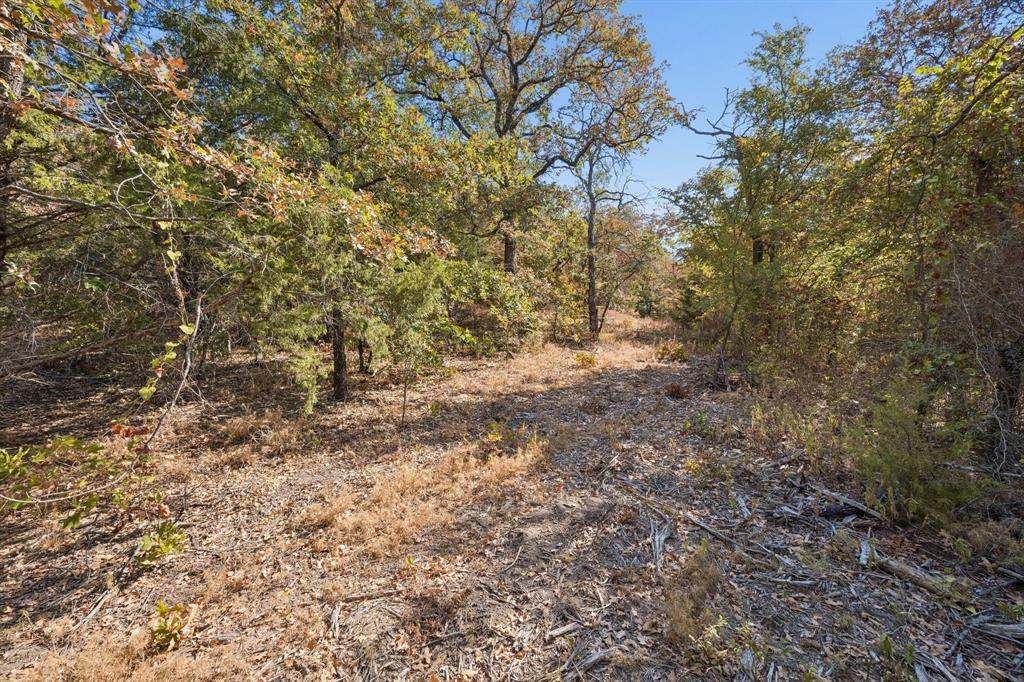 2301 Moseley Road Cross Roads, TX 76227 - Photo 19 of 28 Gallery Image 19