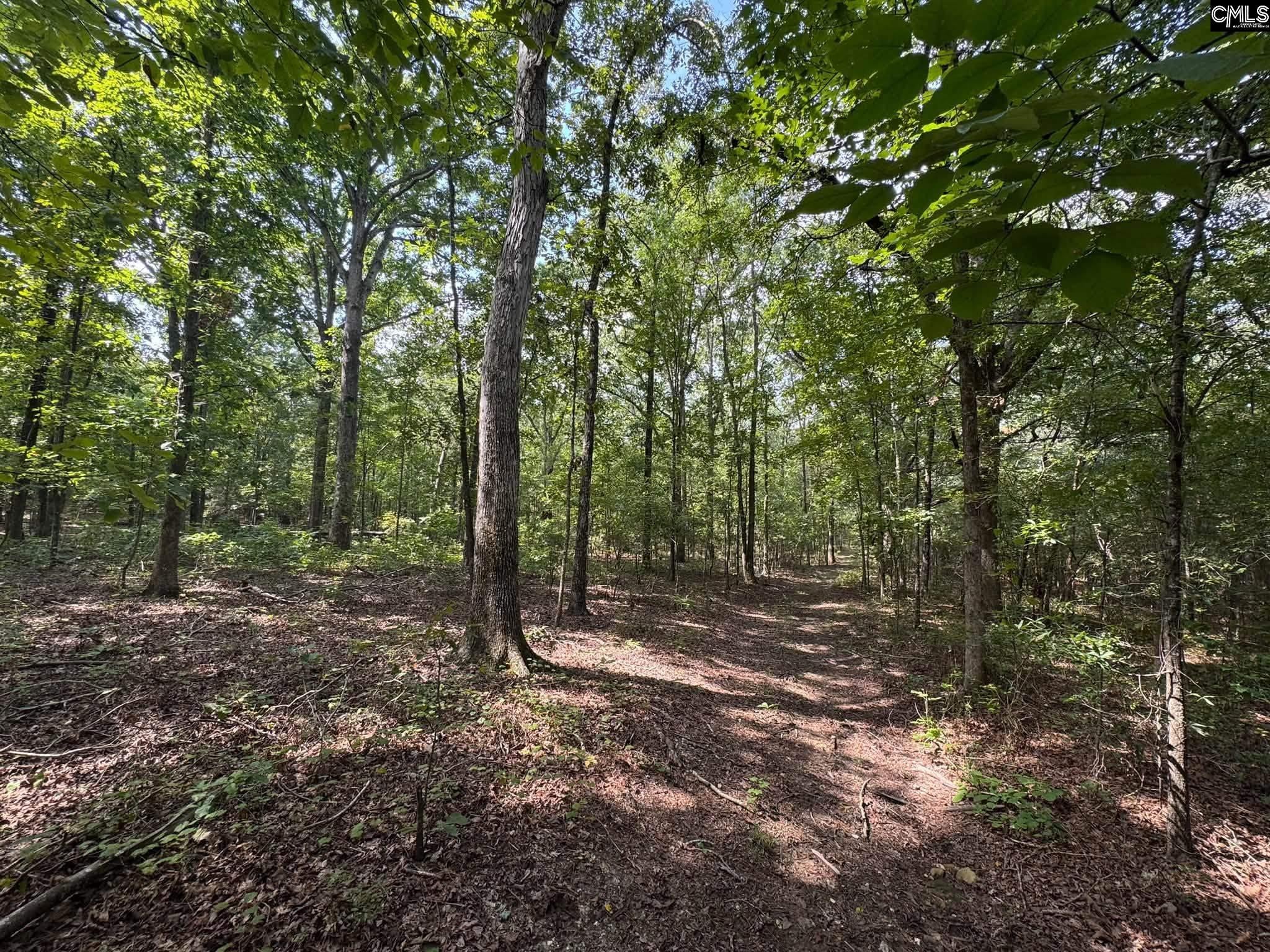 Pencreek Road Johnston, SC 29832 - Photo 6 of 59 Gallery Image 6