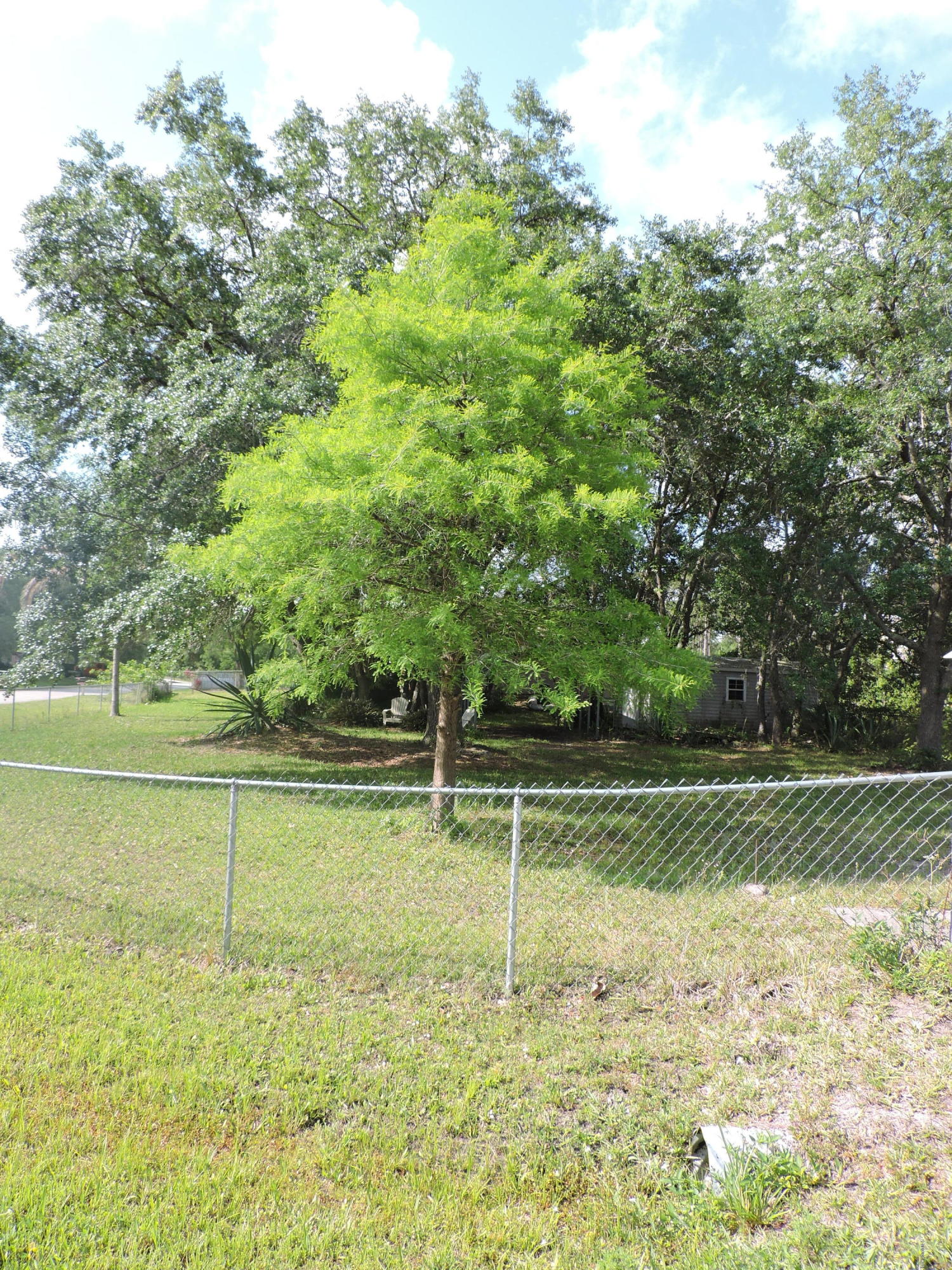 770 Schuster Road Southwest Palm Bay, FL 32908 - Photo 3 of 19 DSCN1793