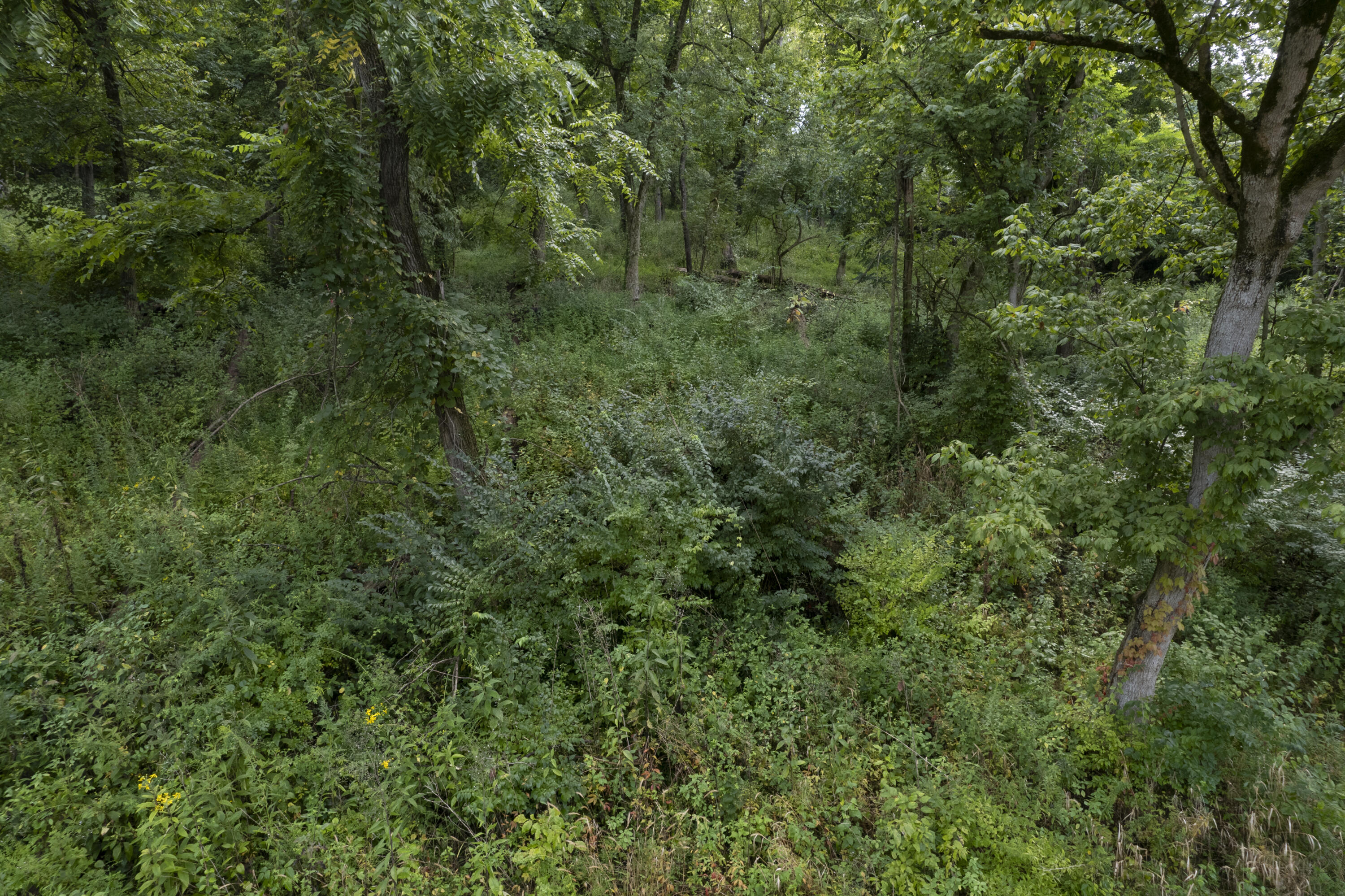 1419 Industrial Road Newport, KY 41076 - Photo 18 of 19