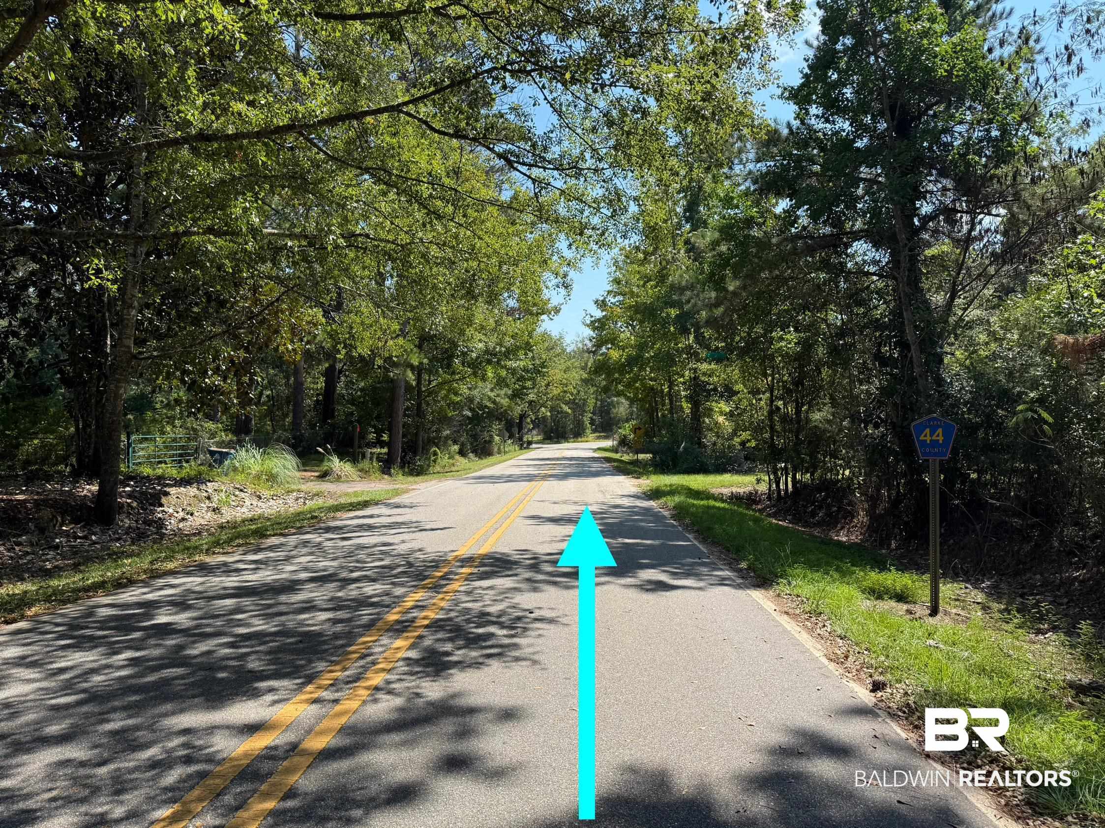 13850 Tallahatta Springs Road Thomasville, AL 36784 - Photo 5 of 27 View of asphalt street