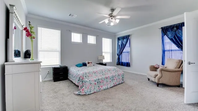 a bedroom with a bed and a couch