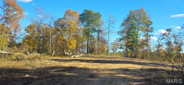 $425,000 | 0 Madison Wayne 9305 Marquand, Marquand, MO 63655