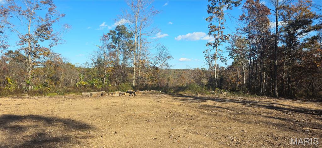 0 Madison Wayne 9305 Marquand Marquand, MO 63655 - Photo 2 of 8