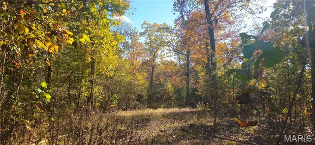 $425,000 | 0 Madison Wayne 9305 Marquand, Marquand, MO 63655