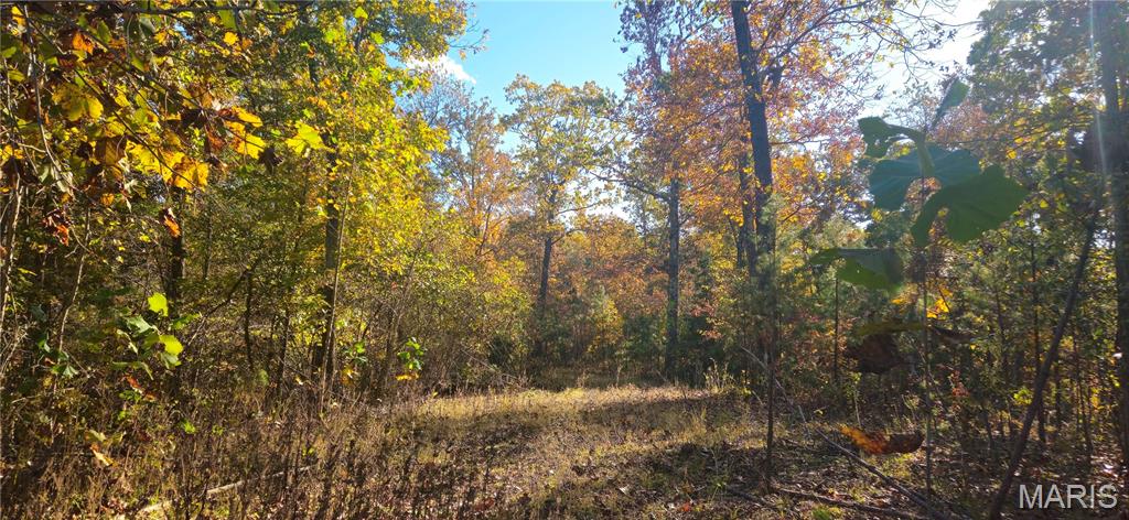 0 Madison Wayne 9305 Marquand Marquand, MO 63655 - Photo 4 of 8