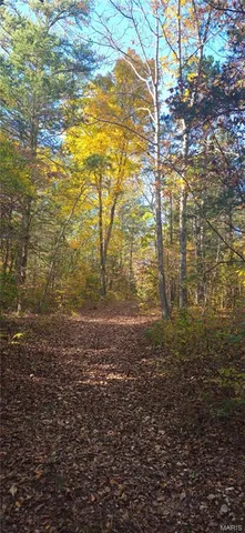 $425,000 | 0 Madison Wayne 9305 Marquand, Marquand, MO 63655