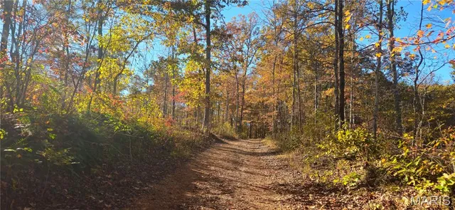 $425,000 | 0 Madison Wayne 9305 Marquand, Marquand, MO 63655