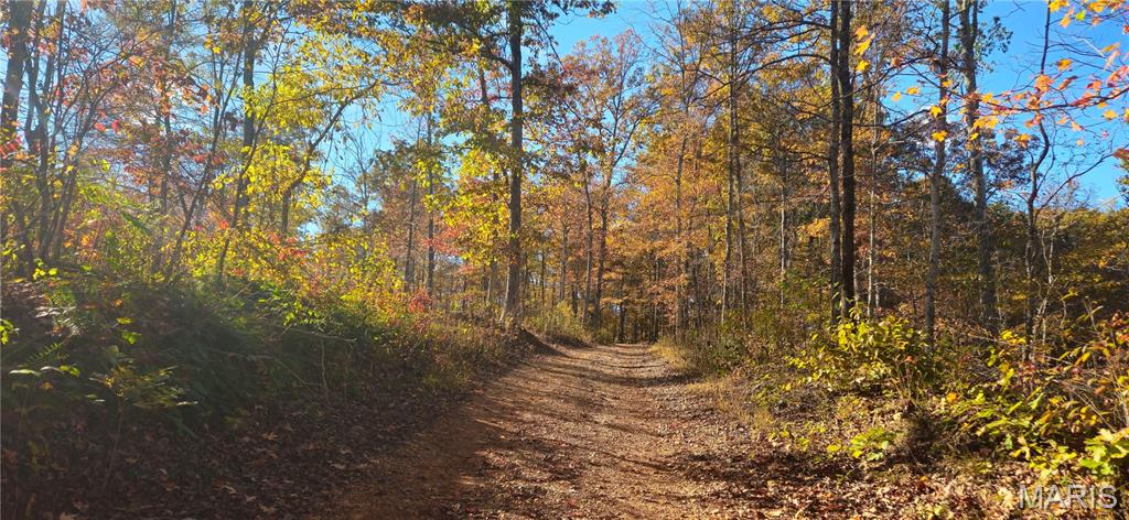 0 Madison Wayne 9305 Marquand Marquand, MO 63655 - Photo 6 of 8