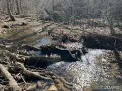 $425,000 | 0 Madison Wayne 9305 Marquand, Marquand, MO 63655