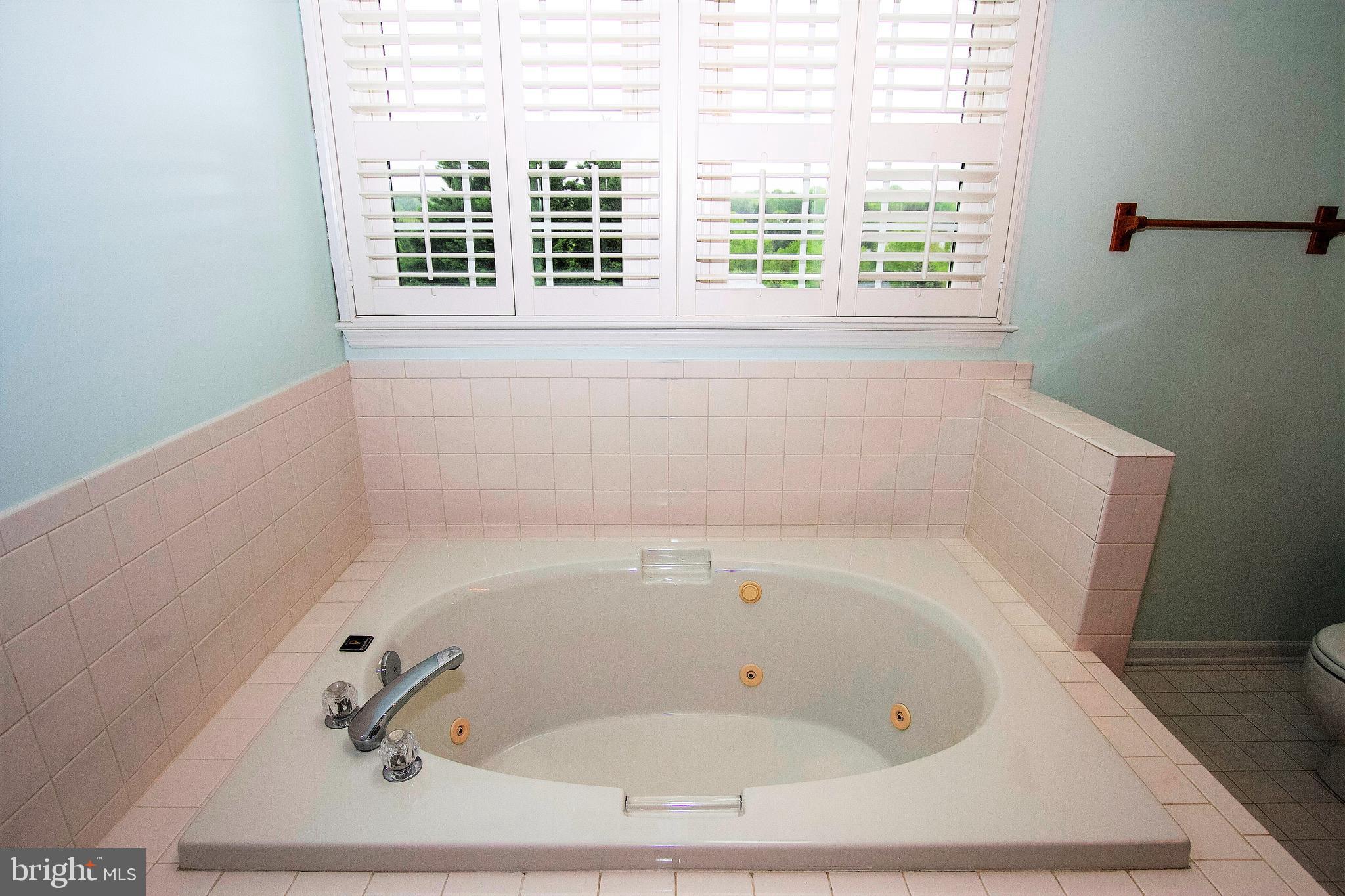 410 East Ring Factory Road Bel Air, MD 21014 - Photo 22 of 49 Jacuzzi Tub