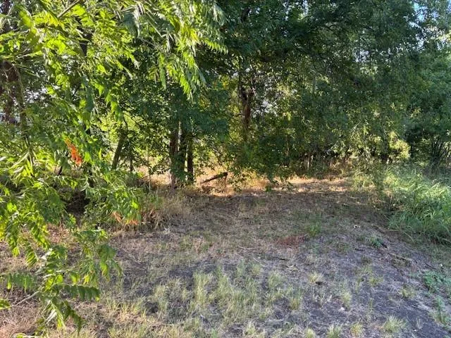 a view of a yard with a tree