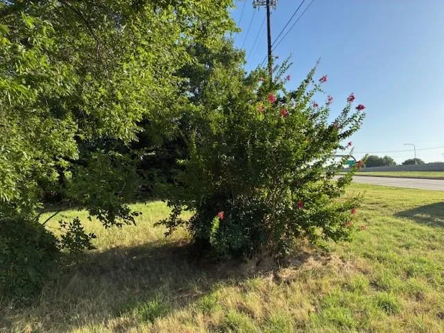 a view of a lake with a tree