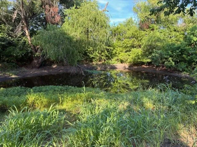 a view of outdoor space and garden