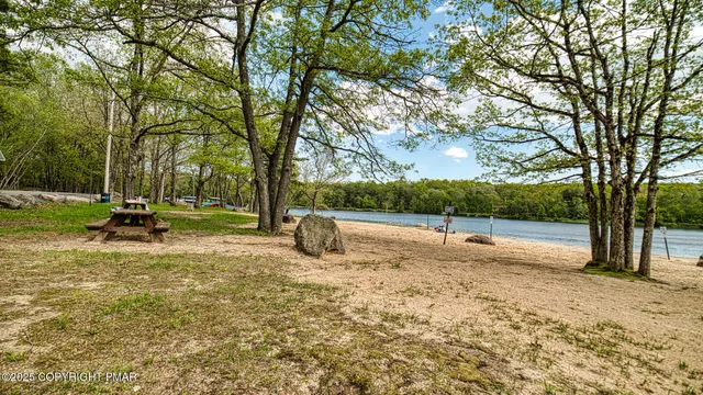 a view of backyard with tree