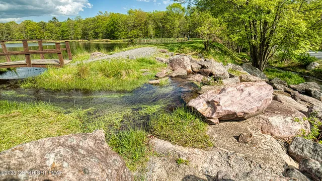 a view of a lake with large trees