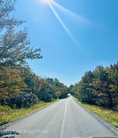 a view of a yard with an outdoor space