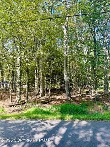 a view of park with plants and trees