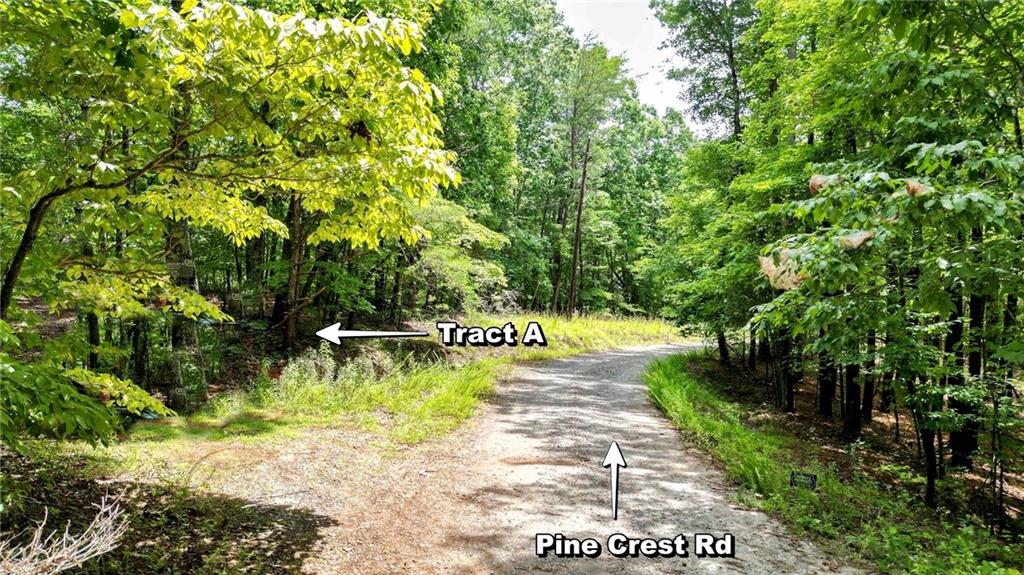 23.83 Pine Crest Road Jasper, GA 30143 - Photo 2 of 8 a view of a park with trees