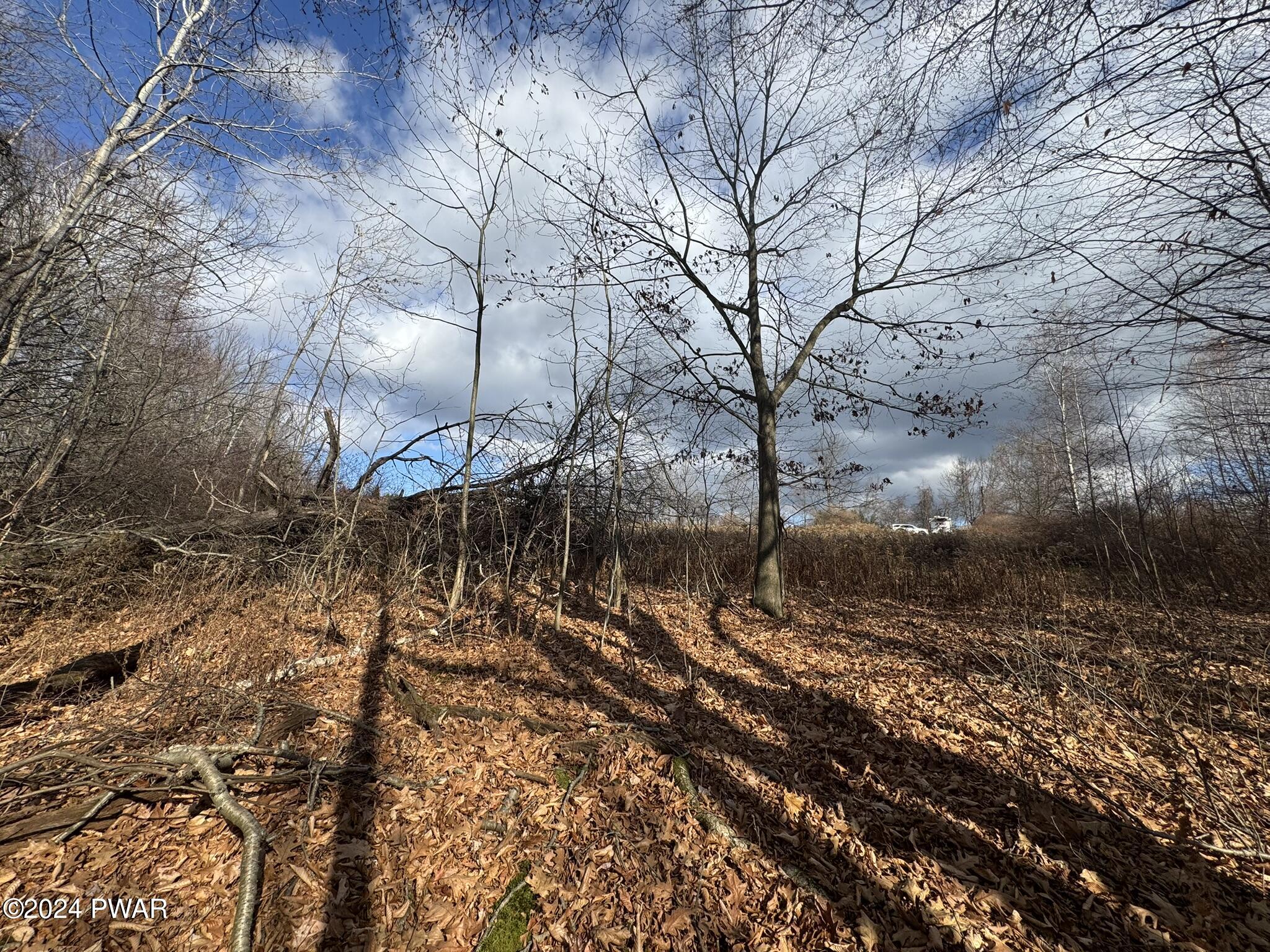 402 Jubinsky Road Waymart, PA 18472 - Photo 14 of 30 9.5 Acres Fields/Wooded