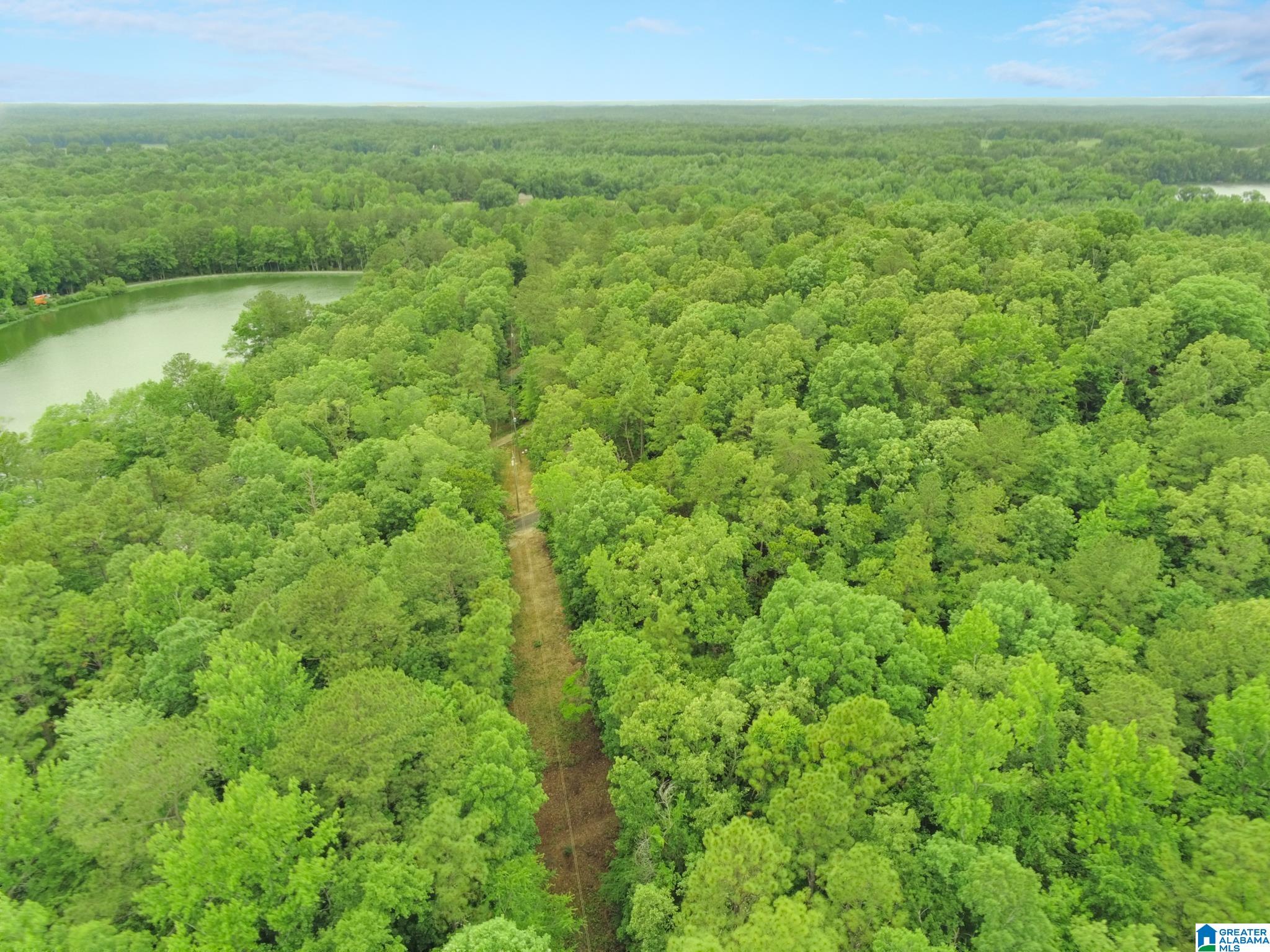 0 County Road 727, Unit 13 Montevallo, AL 35115 - Photo 2 of 15