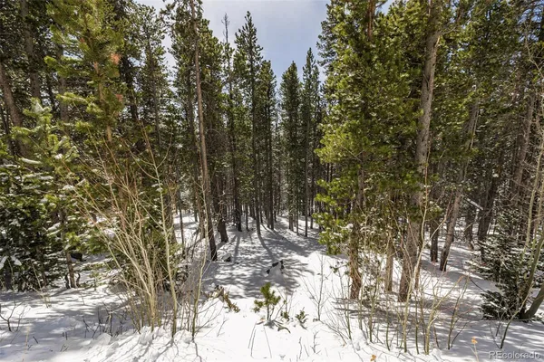 a view of outdoor space with trees