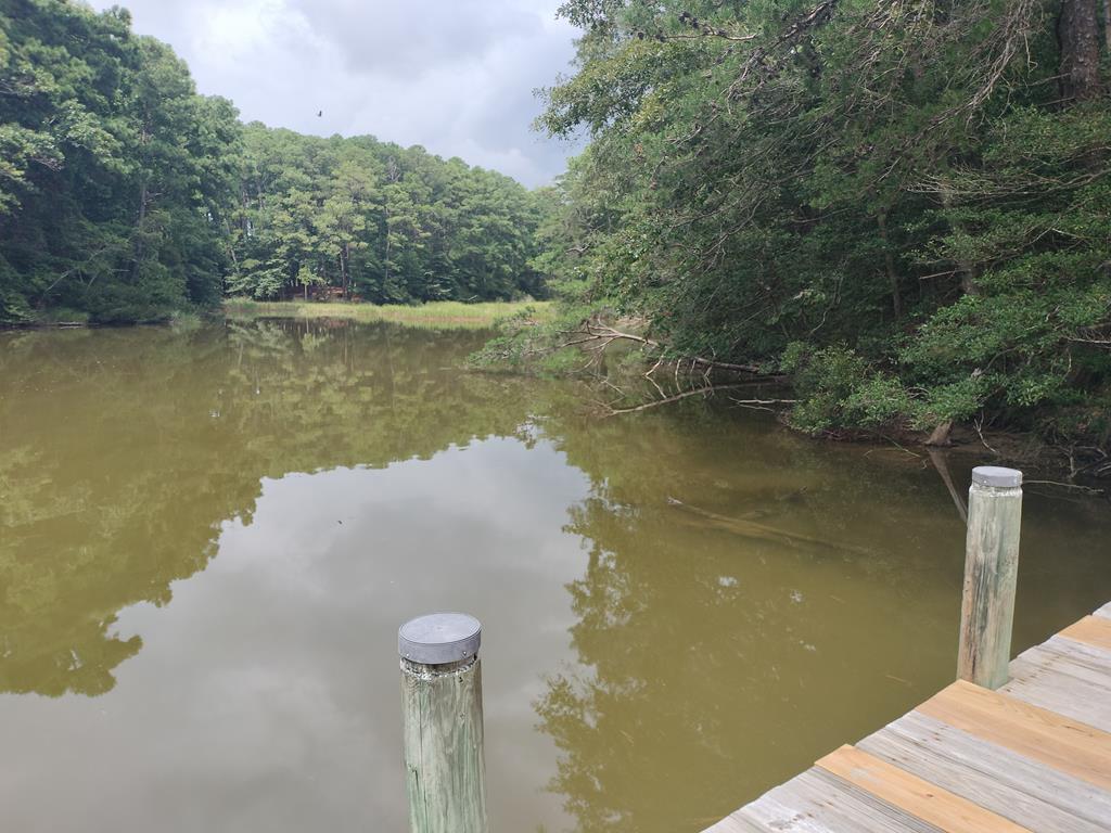 7086 Long Point Road Exmore, VA 23350 - Photo 2 of 42