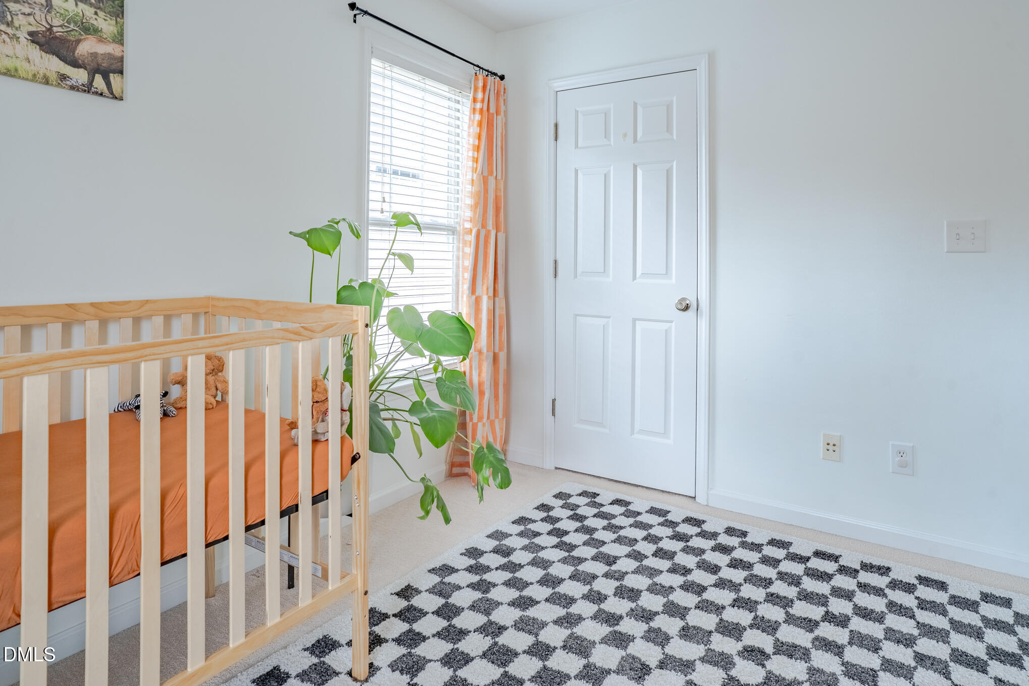 10916 Farmville Road Raleigh, NC 27614 - Photo 24 of 56 Farmville (23 of 63)