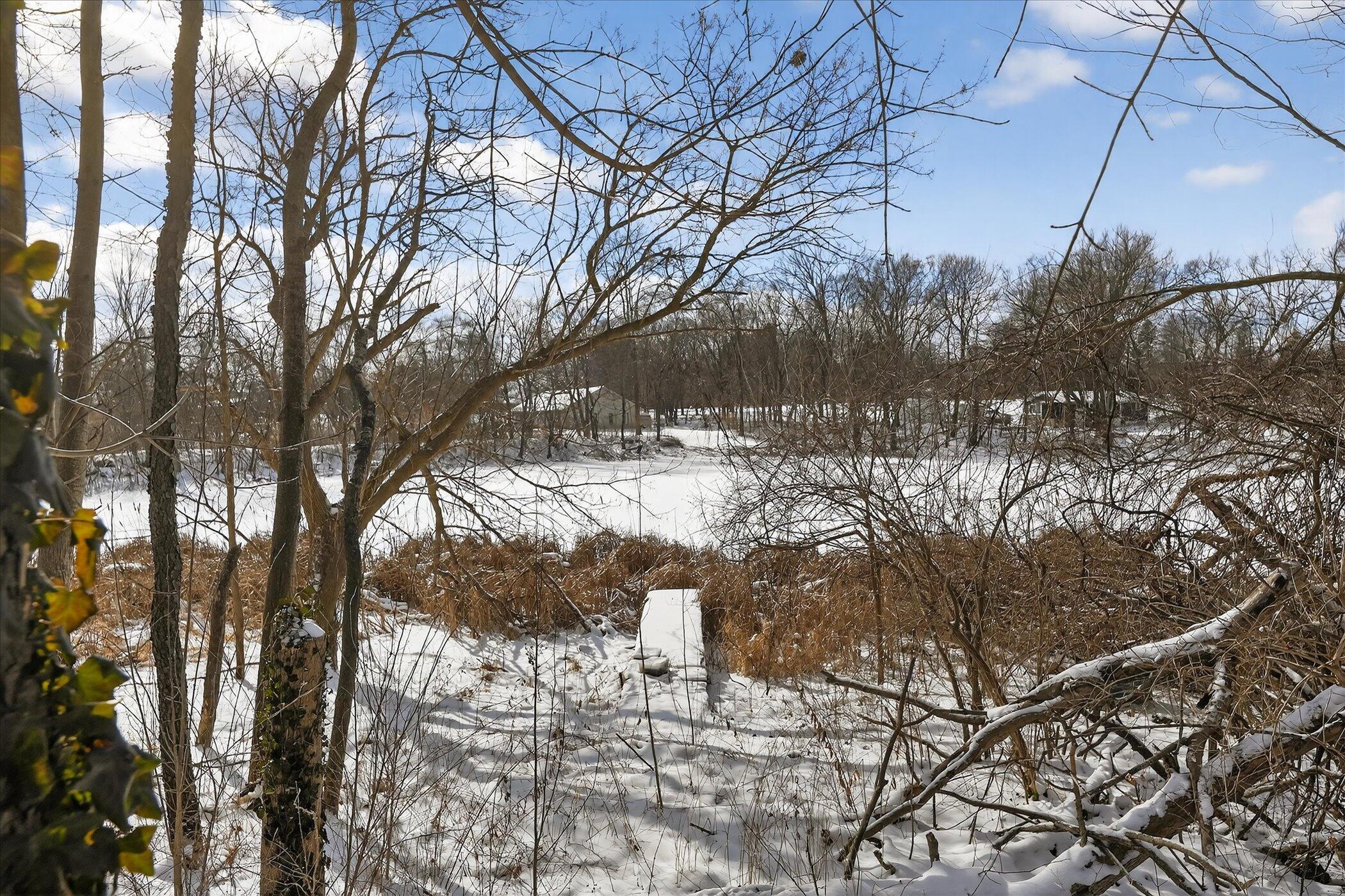 217 Portage Street Pinckney, MI 48169 - Photo 33 of 35 Pond view with private dock