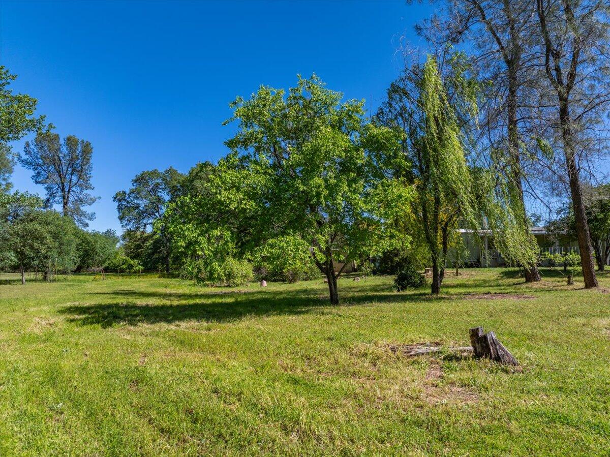 22100 Old Alturas Road Redding, CA 96003 - Photo 4 of 14 10-22100 Old Alturas Rd - E-10