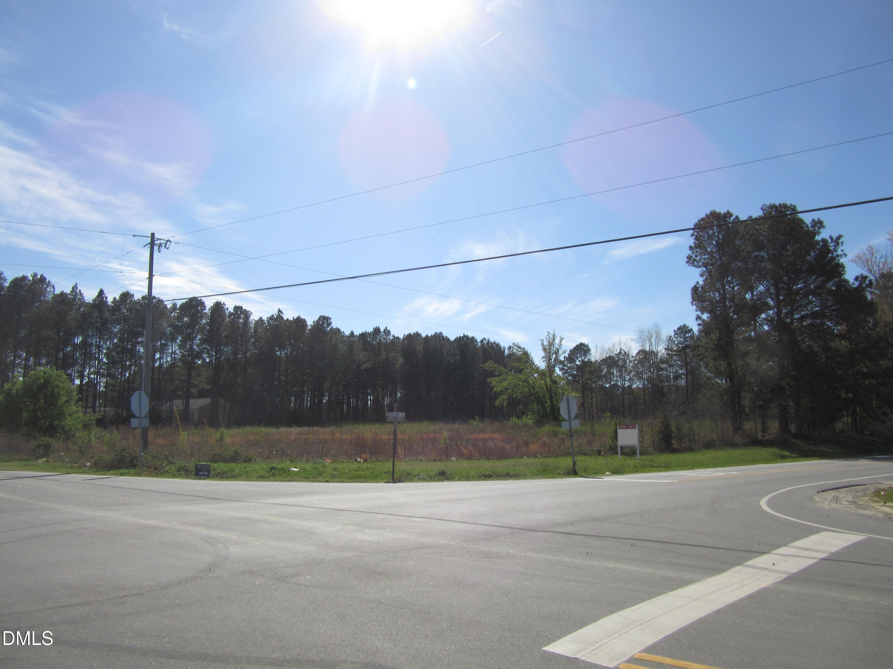 8.78-acres Riley Hill Road Wendell, NC 27591 - Photo 11 of 13 a view of a yard