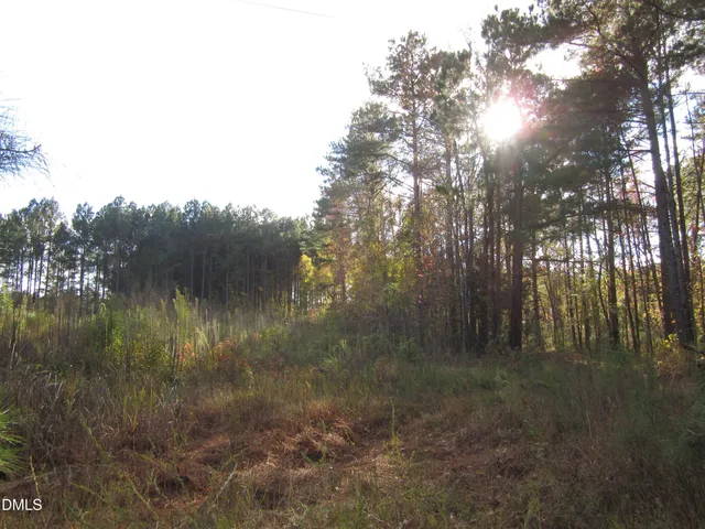 a view of lake with green space